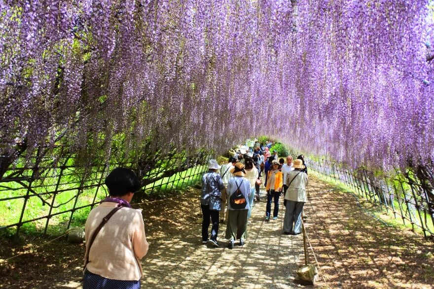 社員旅行・団体旅行の取り扱い多数